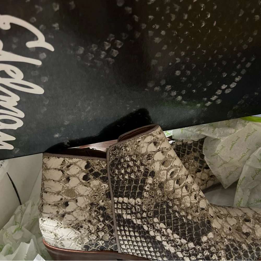 Roccia Python - Picture 3 of 4